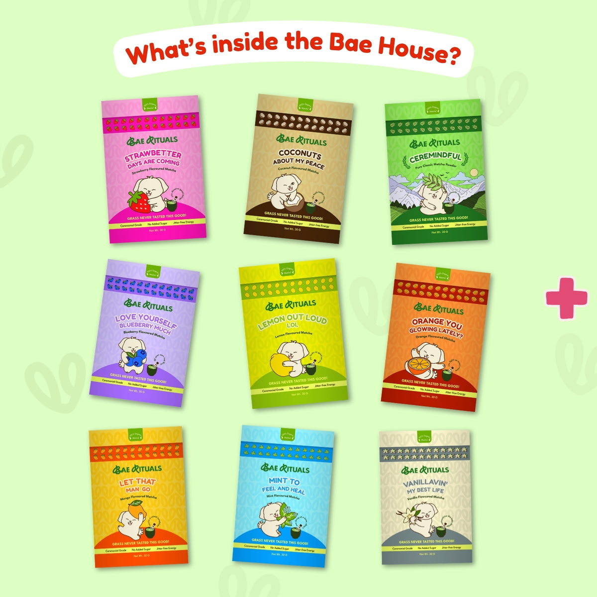 The Bae House | All Nine Matcha Flavours | A Full Ritual Experience
