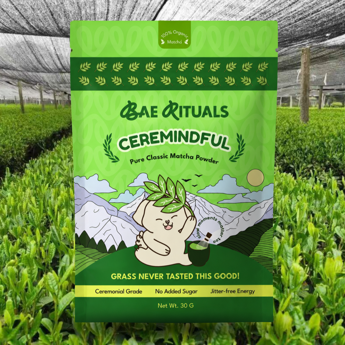 Pure Classic Matcha Powder |  Organic Ceremonial Grade